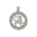 Verzilverde Leeuw dierenriem holle hanger DIY ketting accessoire prachtig detailoverzicht - Zilver / Leeuw