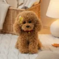 Peluche de perro caniche rizado de simulacion, lindo muneco de peluche marron con collar de. - En Cuclillas - Marrón
