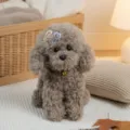 Adorable muñeca de peluche de caniche rizado con campana y pinzas para regalo - En Cuclillas - Gris