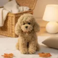 Suave peluche de caniche rizado de simulación con campana y pinza, lindo perro de juguete. - En Cuclillas - Camello