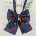 JK uniform bow tie detail shot, blue and red striped fabric with delicate embroidery. - 008-LJ