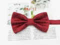 Close-up detail of a classic red and white polka dot men's bow tie for formal suit wear. - SNJ-12