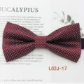 Detailed view of a classic burgundy polka dot bow tie, perfect for business and casual wear. - L02J-17