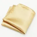 Gouden glanzende pak pochet voor heren in gladde stof detail weergave stijlvol. - Champagne