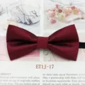 Nœud papillon rouge pour enfants style britannique nœud de performance classique - Bordeaux Sergé