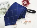 Blue plaid zipper tie for men, business formal pre-tied lazy necktie with grid pattern. - Blue Plaid (LZD-25)