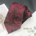Detailed view of dark red silk-like paisley jacquard tie with classic pattern design. - C02N-18