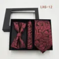 Vista detallada set de corbata pajarita y pañuelo con estampado paisley para hombre en caja regalo. - LHS-12