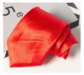 Close-up detail of a vibrant red men's solid zipper tie, showcasing smooth fabric texture. - Red