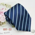 Men's blue striped tie close-up, classic business necktie detail shot showing fine texture. - CDT-22