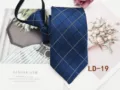 Detailed view of the blue plaid zipper tie, showcasing the fine fabric texture and neat grid pattern. - LD-19