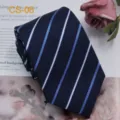 Cravatta classica da uomo in seta blu scuro con eleganti righe diagonali per affari. - CS-06