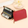 Mujeres hombres doble cremallera acordeón tarjetero mini cartera estuche tarjetas - Estilo HK019 (Rojo) / Rojo