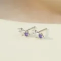 Pendientes de botón de estrella de plata esterlina S925 con circón morado y blanco Variante - Oro Blanco Febrero Púrpura
