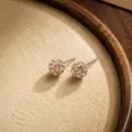 Pendientes de tuerca con bola de cristal plateada, joyería brillante de verano dopamina para mujer - Champán