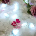 Catena luminosa LED cuore a batteria luci decorative per camera da letto romantica - 5M 50LEDs Alimentato a Batteria / Blu