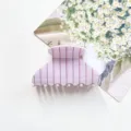 Pince à cheveux rayée rose taille moyenne demi-lune accessoire élégant pour coiffure chic - Pince à Pointe Carrée Rayée / M / Rose Clair