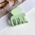Kleine matte grüne Haarklammer, schicke Haarkralle mit vier Zähnen für stylische Hochsteckfrisuren. - Matt Hellgrün