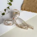 Elegante transparente Schleife Haarklammer für Damen, stilvoller Haarschmuck für Alltag. - 10cm / Transparent Champagner