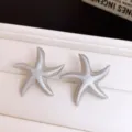 Boucles d'oreilles étoile de mer émaillée minimaliste argentée bijoux de niche haut de gamme femme - Boucles d'oreilles artisanales en émail étoile de mer (48#) / Argent-Gris