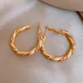 Vue détaillée de boucles d'oreilles créoles torsadées en métal avec épingles en argent look chic - Créoles rondes torsadées à tige en argent (24#) / Or