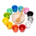 Jeu de tri des couleurs en bois Montessori avec bols et boules, apprentissage précoce enfants. - Forfait 2 (Ensemble de 12 Pièces) / Lot de 12