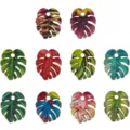 DIY enamel alloy monstera leaf charms colorful tropical plant pendants for jewelry making - Assorted Monstera Leaf Style (SN1810) / 10 Pieces/Pack