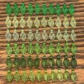 Translucent Acrylic Leaf Charms DIY Jewelry Making Green Leaf Pendants Craft Supplies - 6 Styles 10 Pcs Each - 4.4g / Mixed 60 Pcs Acrylic Small Leaf Set (SN1119)