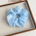 Hellblaue Organza Haargummis mit rosa Kontrastkante, sanftes Mesh Haarschmuck Detail. - Blau