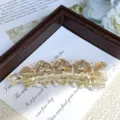 Crystal rhinestone banana clip hair barrette detailed view, elegant clear floral design. - Butterfly Style in Champagne