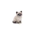Gedetailleerd close-upzicht van een schattig keramisch siamese kattenminiatuurbeeldje. - Blauwoog Ragdoll Kat Accessoire Alleen (Zonder Ketting)