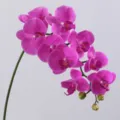 High-end artificial Phalaenopsis orchid flower for home decor, beautiful purple floral arrangement. - Purple