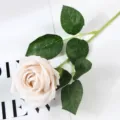 Flor de rosa artificial individual para decoracion hogar boda regalo de San Valentin - Champaña