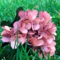 Artificial Pink Hydrangea Silk Flower Bouquet Outdoor Wedding Home Decor Floral Arrangement - Pink