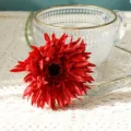 Artificial frayed gerbera daisy red flower for home wedding party decoration photo prop. - Red