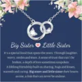 Elegant double circle heart silver necklace for women, stylish interlocking pendant clavicle chain. - Double Circle Heart Sisters Style (2026-01-N-5197 Style 2) / Steel