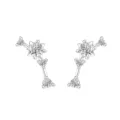 S925 Sterling Zilver Zirkoon Ster Sterrenbeeld Oorstekers voor Vrouwen Trendy Chic - Leeuw (E5942) / Wit
