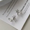 Pendientes de estrella de perla de plata esterlina S925 estilo ins chic moda mujer - Plata 925 / Borde Irregular Plateado (Con Perla de Vidrio)