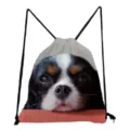 Casual lightweight drawstring backpack with cute Cavalier King Charles Spaniel dog print. - Cavalier King Charles Spaniel Style (sk4404)