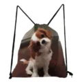 Cavalier King Charles Spaniel print drawstring backpack, lightweight campus travel bag. - Cavalier King Charles Spaniel Style (sk4405)