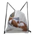 Detailed view of lightweight drawstring backpack featuring cute Cavalier King Charles Spaniel print. - Cavalier King Charles Spaniel Style (sk4406)
