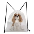 Cavalier King Charles Spaniel print canvas drawstring backpack, casual daily school bag. - Cavalier King Charles Spaniel Style (sk4409)