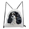 Canvas drawstring backpack featuring a cute Cavalier King Charles Spaniel dog print for daily use. - Cavalier King Charles Spaniel Style (sk4412)