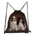 Cavalier King Charles Spaniel print drawstring backpack, casual lightweight school bag. - Cavalier King Charles Spaniel Style (sk4414)
