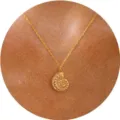 Gold seashell pendant necklace dainty spiral shell necklace for women jewelry variant. - Conch Style / Gold