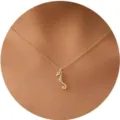 Goldene Seepferdchen Anhänger Halskette für Damen, zarte Kette Choker Schmuck, elegantes Design. - Seepferdchen Stil / Gold