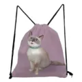 Cute cartoon cat print drawstring backpack casual pink shoulder bag daily storage shopping bag - Pink Purple Star Collar Cat Style (sk3556)
