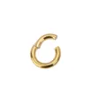Grande anello piercing in lega di titanio F136, gioiello per il corpo dorato dettaglio. - Calibro 3mm / Diametro Interno 8mm / Oro