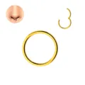 Detailed view of gold stainless steel hinge segment nose ring, polished finish, body piercing. - 1.2x6mm / Gold