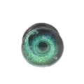 Galaxie Glas Ohrplug doppelter Rand Piercing Schmuck Detailansicht mit kosmischem Muster. - 6mm / Schwarz+Grün